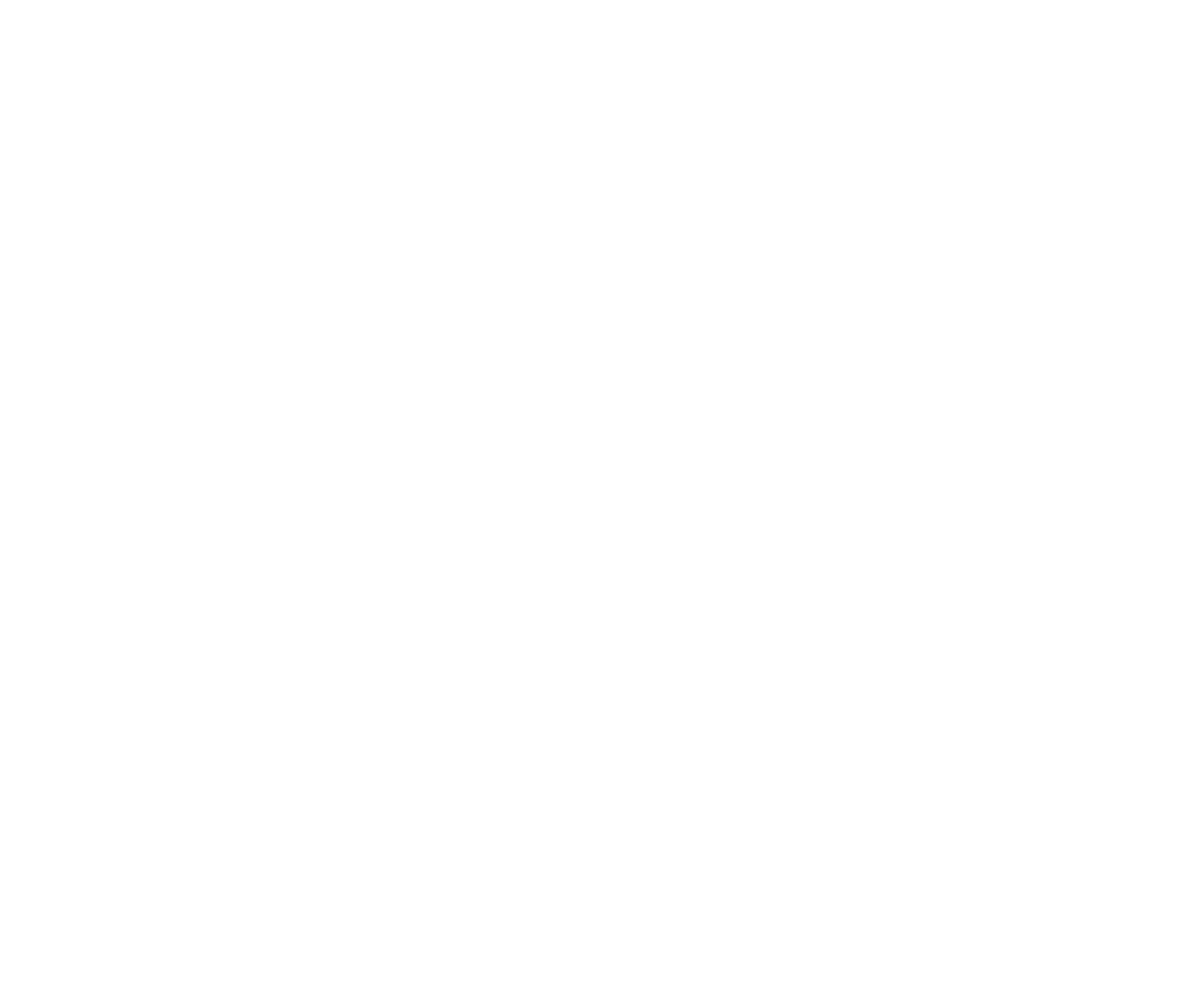 FLUX logo blok
