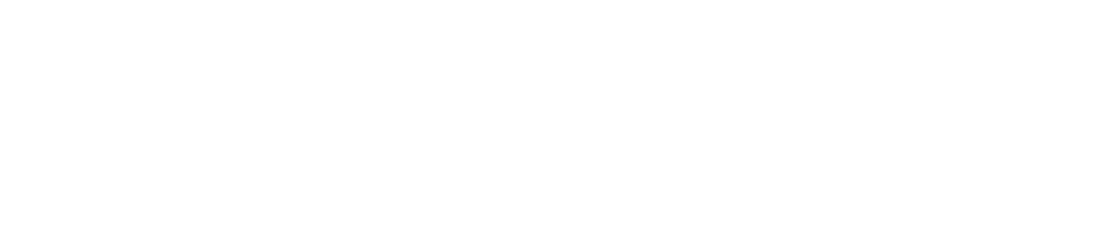 FLUX logo horizontaal