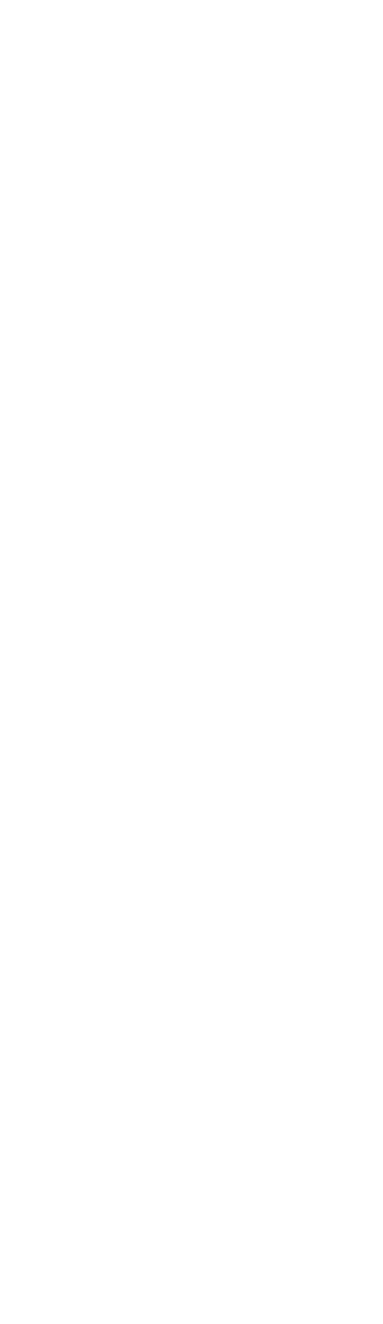 FLUX logo verticaal